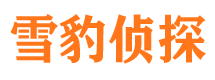 东宁市私人侦探